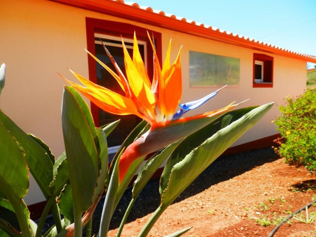 Au Petit Madere Villa Prazeres Buitenkant foto